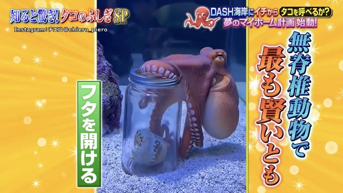 日本テレビ『ザ!鉄腕!DASH!!』での提供元クレジット