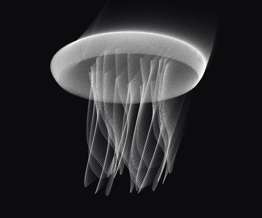 Kurage — Jellyfish, 40,000 points